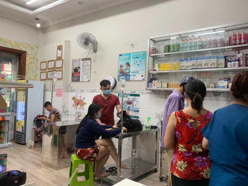 Phòng khám thú y Bình Chánh mang đến dịch vụ đa dạng, không khí gần gũi