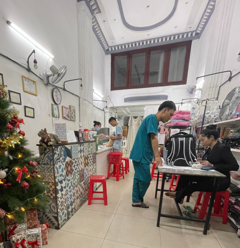 Phòng khám thú y Quận 4 có đa dạng dịch vụ, bác sĩ tận tình, chu đáo