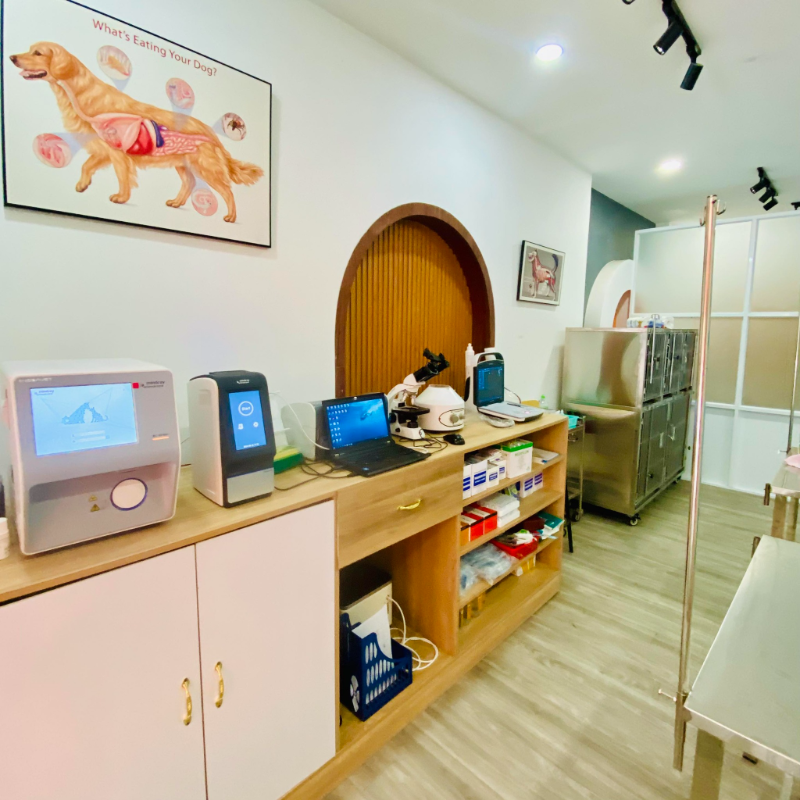Bệnh viện thú y Quận 11 có không gian sạch sẽ, thiết bị hiện đại