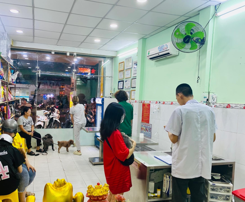 Phòng khám thú y Quận 6 có các dịch vụ đa dạng với đội ngũ bác sĩ có chuyên môn cao