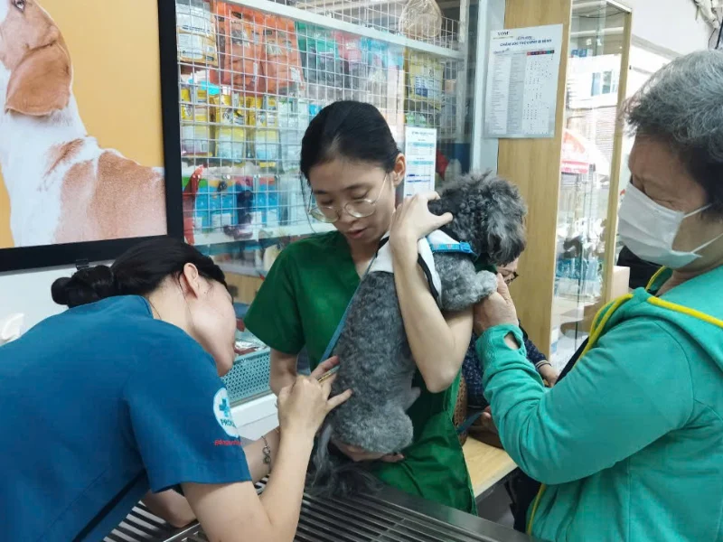 Thú y Phú Nhuận được đánh giá cao nhờ cơ sở vật chất và đội ngũ bác sĩ chuyên nghiệp
