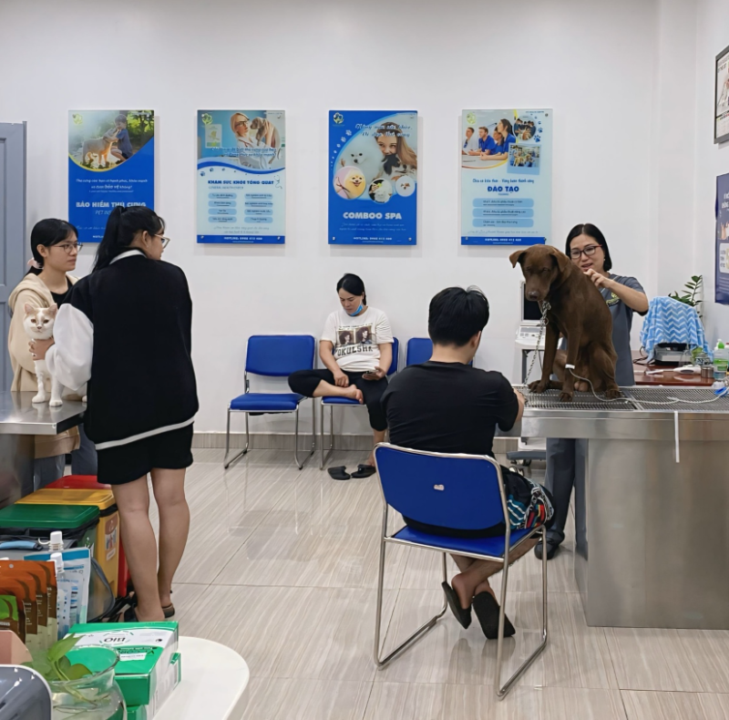 Phòng khám thú y Quận 7 hiện đại, bác sĩ giàu kinh nghiệm