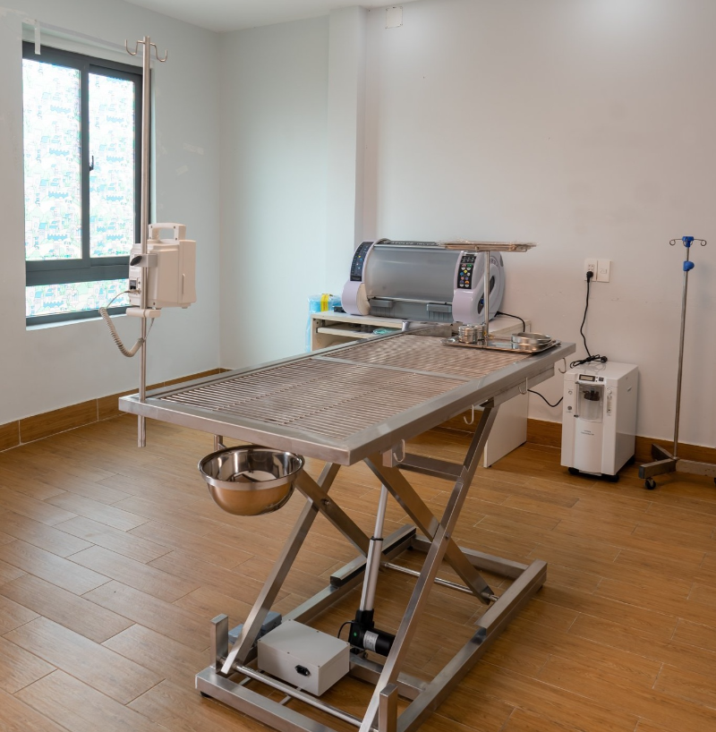 Phòng khám thú y Quận 7 với đầy đủ thiết bị tiên tiến, dịch vụ phong phú