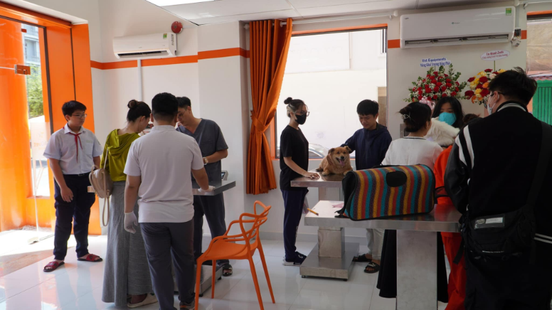 Bệnh viện thú y Quận 11 có không gian sạch sẽ, nhân viên thân thiện