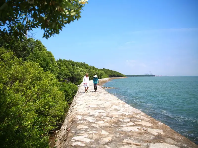 Bạn đang thắc mắc Cần Giờ ở đâu, huyện Cần Giờ thuộc tỉnh nào? Bài viết cung cấp thông tin mới nhất về hành chính, vị trí và quy hoạch khu vực.