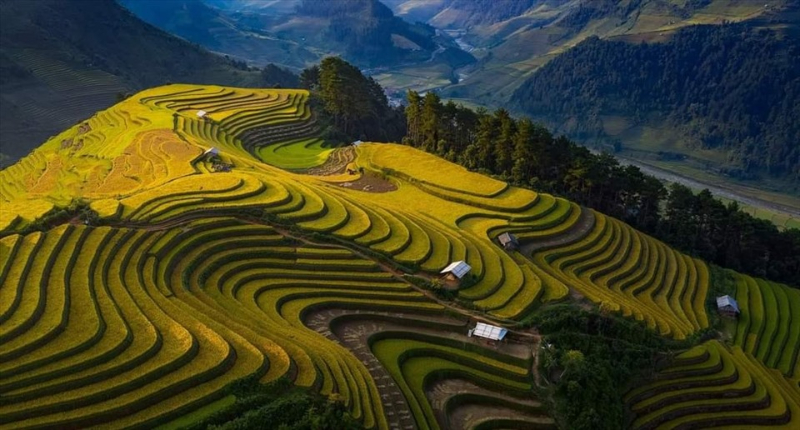 Mù Cang Chải là một huyện vùng cao thuộc tỉnh Yên Bái, nằm cách Hà Nội khoảng 300km về phía Tây Bắc.