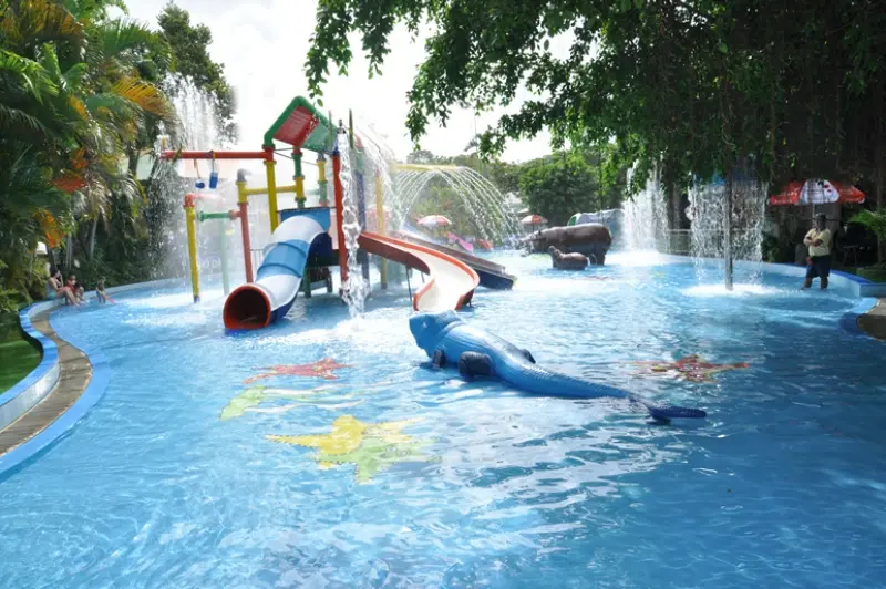 Ngày hè sôi động tại Đầm Sen với hàng loạt hoạt động vui chơi dưới nước và ngoài trời.