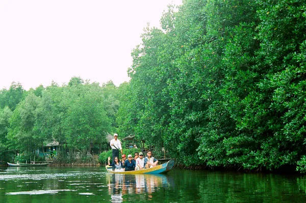 Du lịch gần Sài Gòn – tham quan rừng ngập mặn bằng thuyền