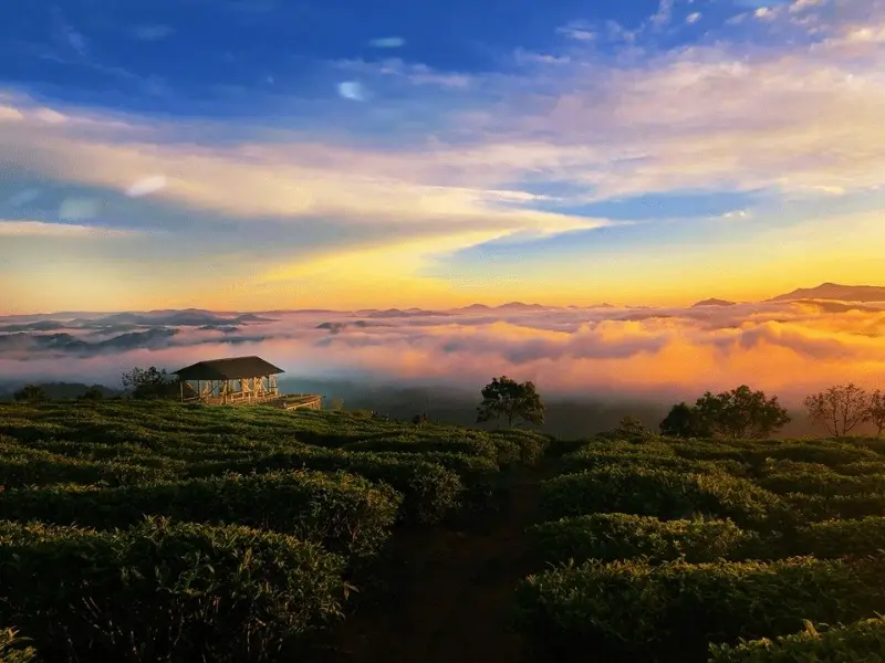 Đồi Thiên Phúc Đức