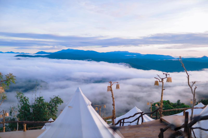 Săn mây Đà Lạt vào những buổi sớm tinh mơ.