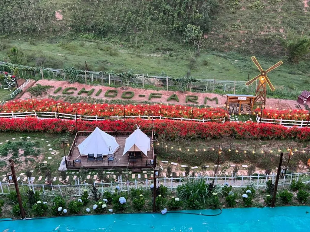 Toàn cảnh vườn dâu Đà Lạt – Ichigo Farm với hàng hoa rực rỡ, khu lều nghỉ dưỡng và cối xay gió nhỏ xinh giữa thiên nhiên xanh mát.