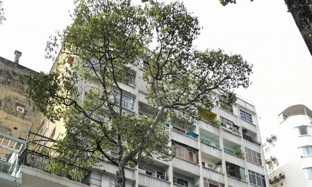 Không gian sống tại chung cư 47-57 Nguyễn Thái Bình