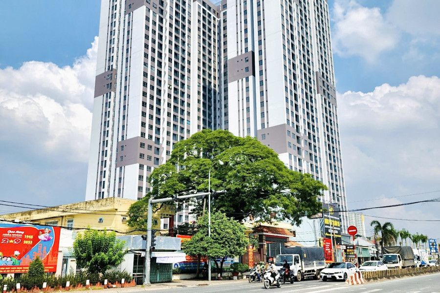 Khu vực xung quanh chung cư Phúc Đạt Tower Dĩ An