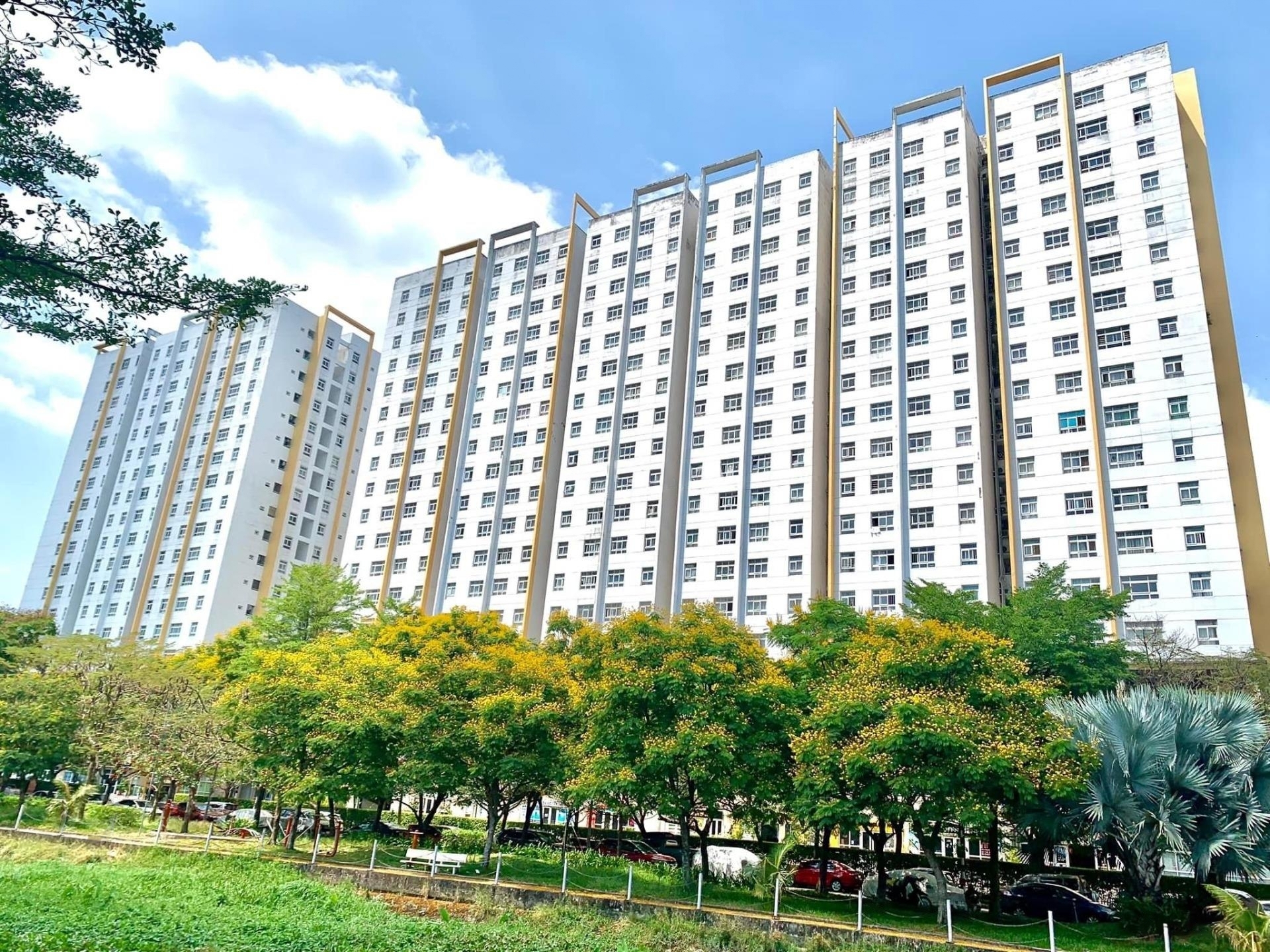 Không gian sống và nội thất bên trong căn hộ Sunview Town