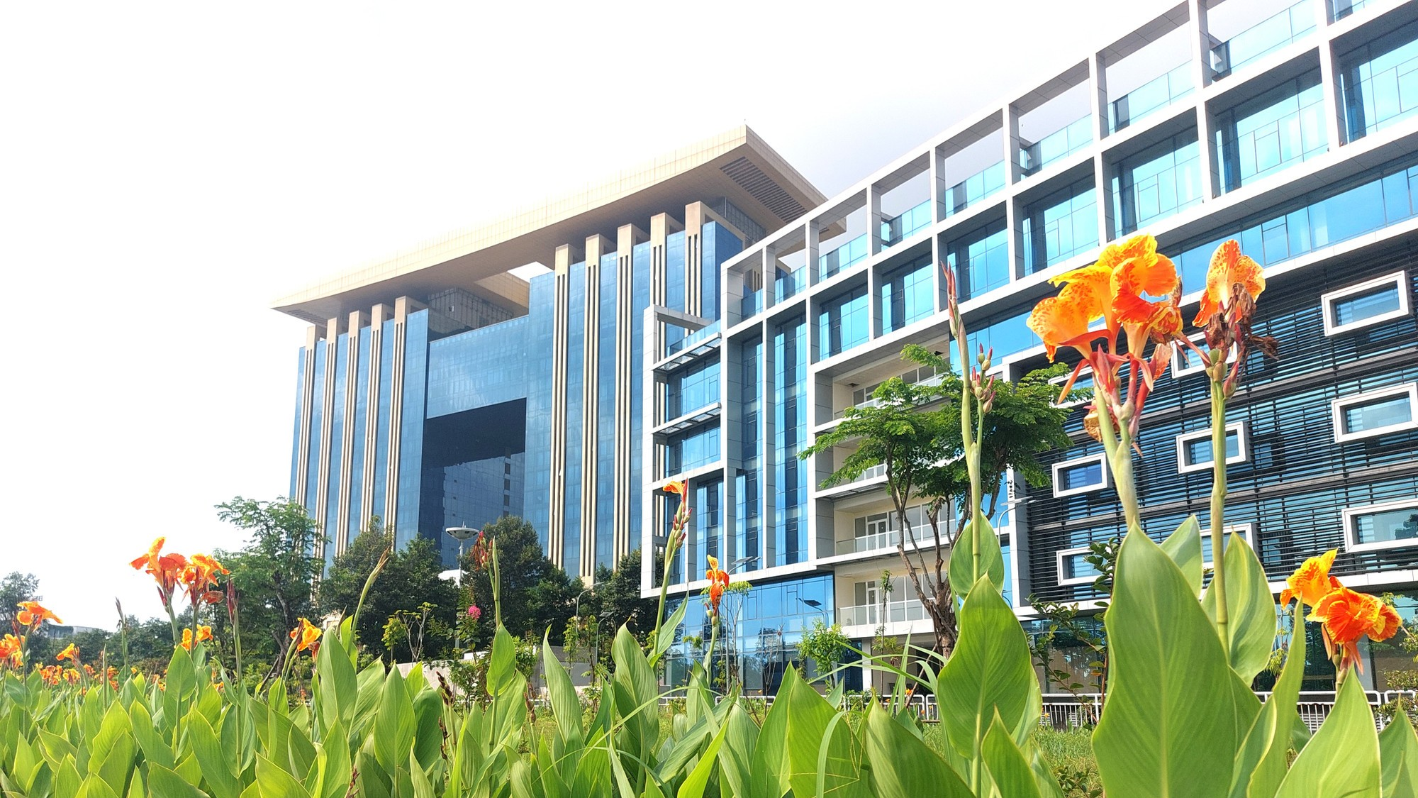 Không gian xanh tại Thành Phố Mới Bình Dương