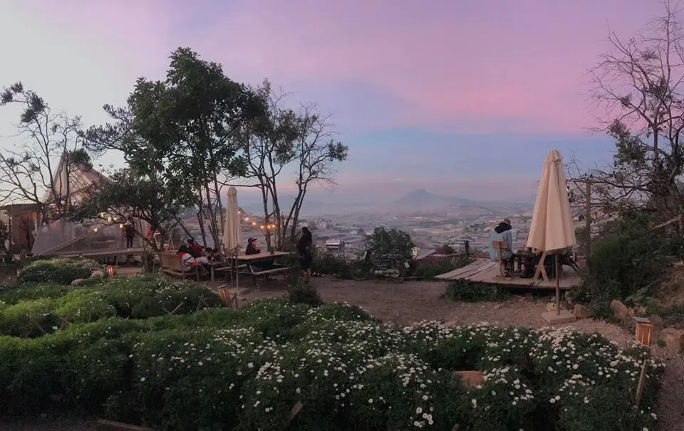 Không gian cafe Đà Lạt vào hoàng hôn với sắc trời tím hồng, view thung lũng rộng lớn và bàn ghế ngoài trời giữa vườn hoa cúc trắng dịu dàng.