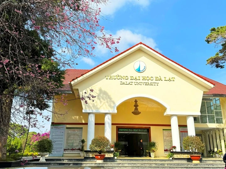 Trường Đại học Đà Lạt đào tạo đa ngành, đa lĩnh vực từ khoa học tự nhiên, xã hội đến công nghệ, kinh tế và sư phạm,....