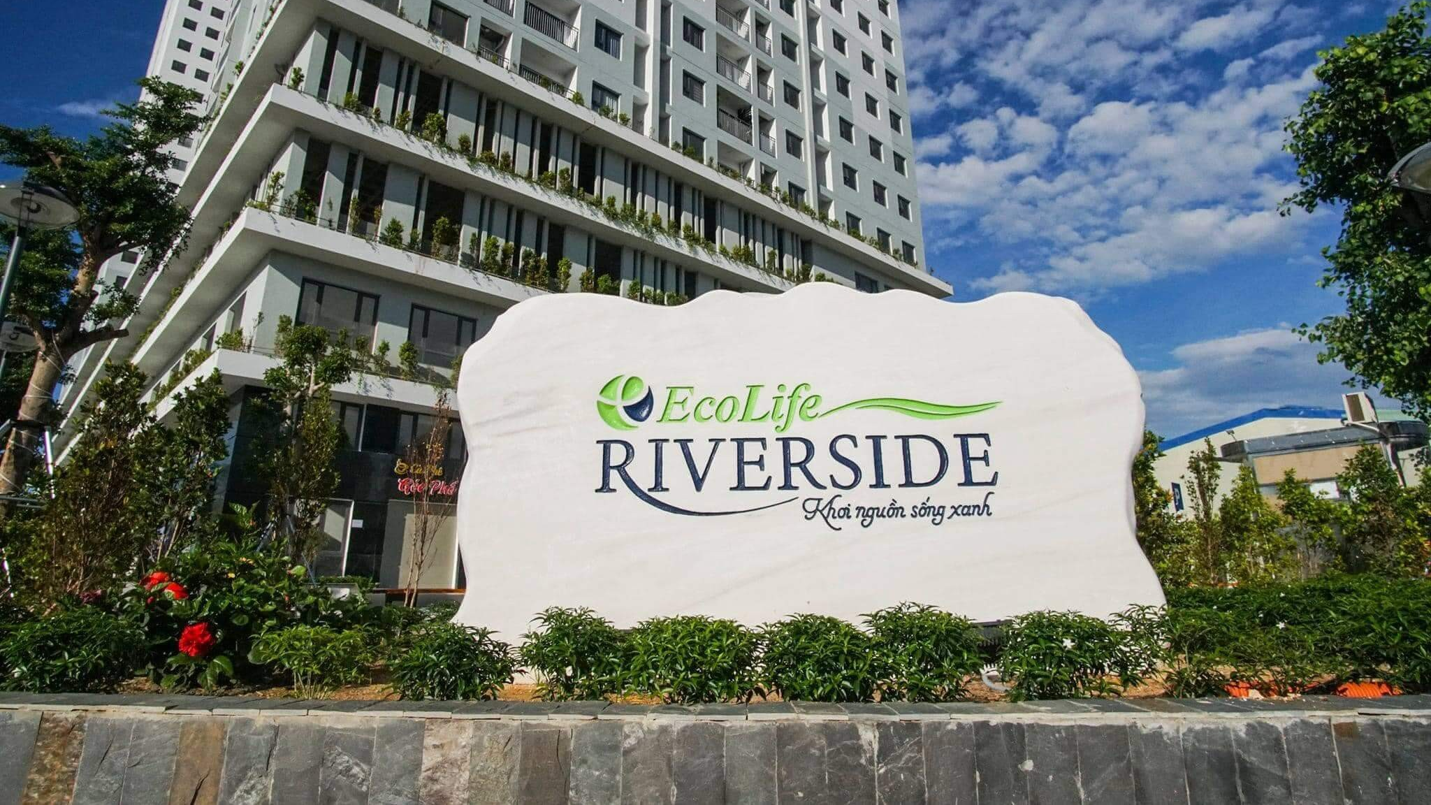 Toàn cảnh dự án Ecolife Riverside bên sông Hà Thanh, Quy Nhơn
