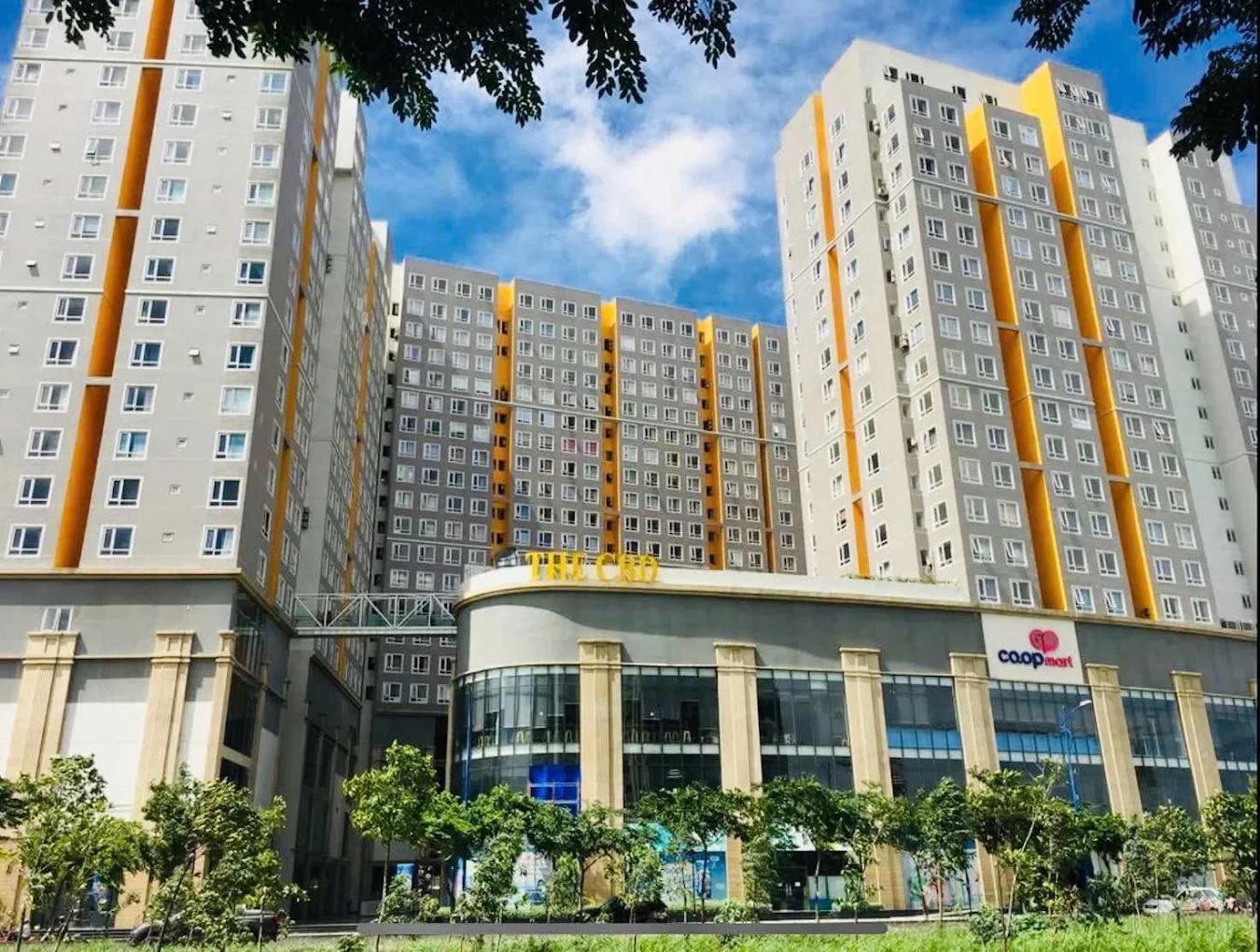 Khu vực xung quanh chung cư The CBD Premium Home