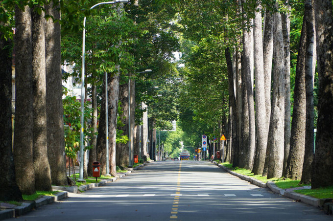 Đường Nguyễn Bỉnh Khiêm, con đường rợp bóng cây xanh tại Quận 1