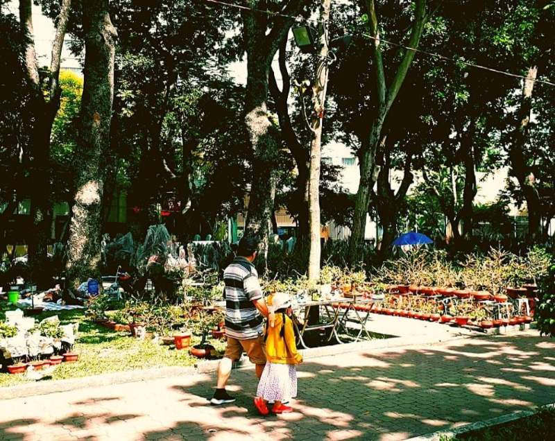 Công viên 23 tháng 9 sở hữu vị trí đắc địa giữa trung tâm