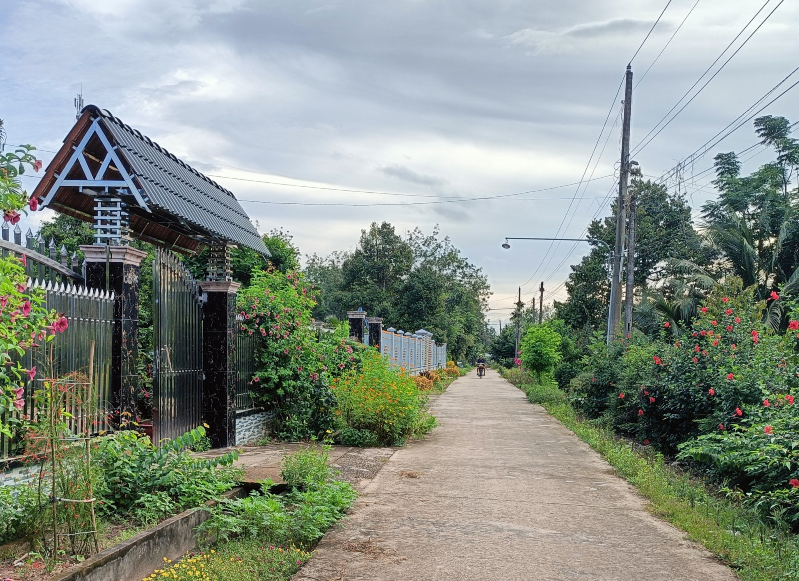 Xã Thanh An