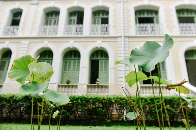 Không gian xanh tại Tổng Lãnh sự quán Pháp ở TP.HCM