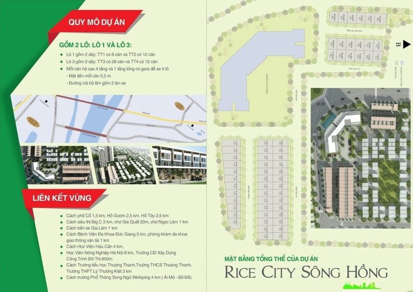 Sơ đồ mặt bằng tầng điển hình tại dự án Rice City Sông Hồng
