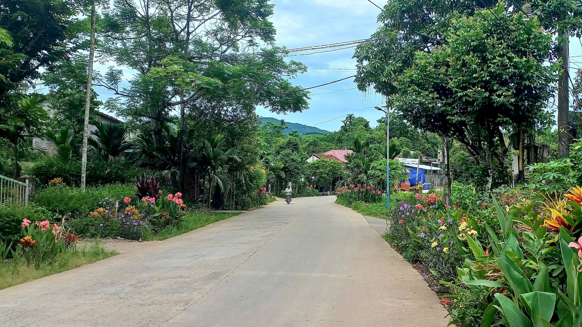 Xã Lãnh Ngọc, Đà Nẵng
