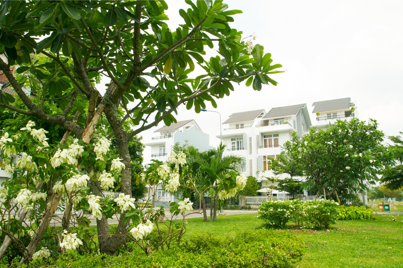 Môi trường sống trong lành tại KDC Gia Hòa