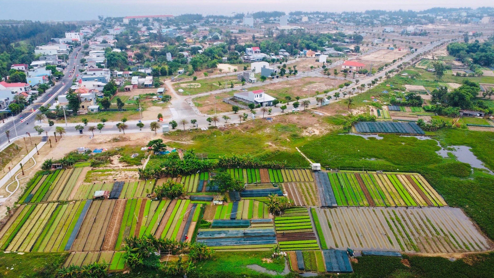 Phường Điện Bàn Đông, Đà Nẵng