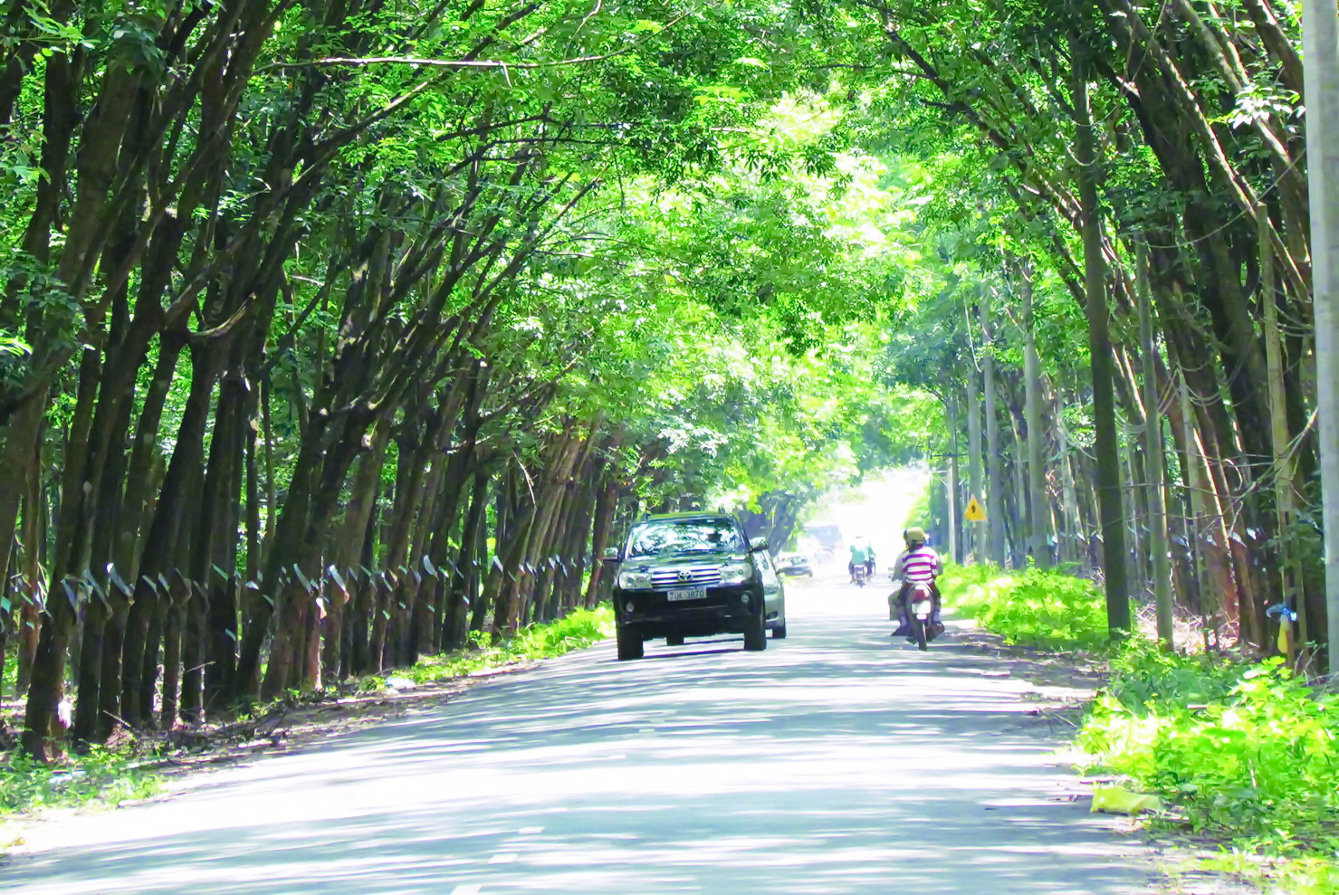 Xã Thạnh Đức, tỉnh Tây Ninh