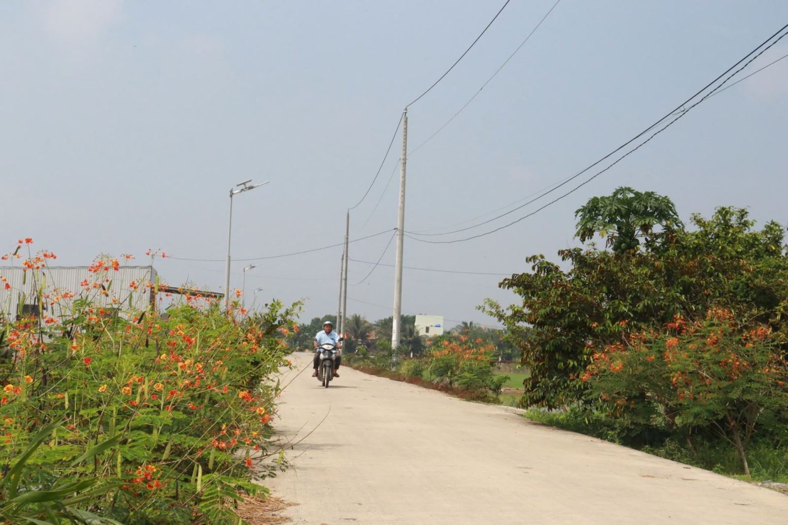 Xã Tân Lân, tỉnh Tây Ninh