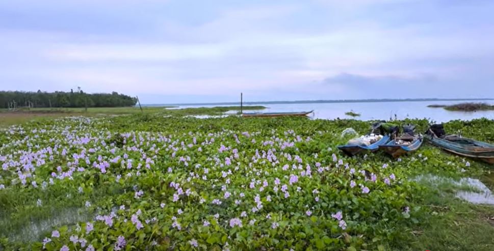 Xã Tân Thành, tỉnh Tây Ninh