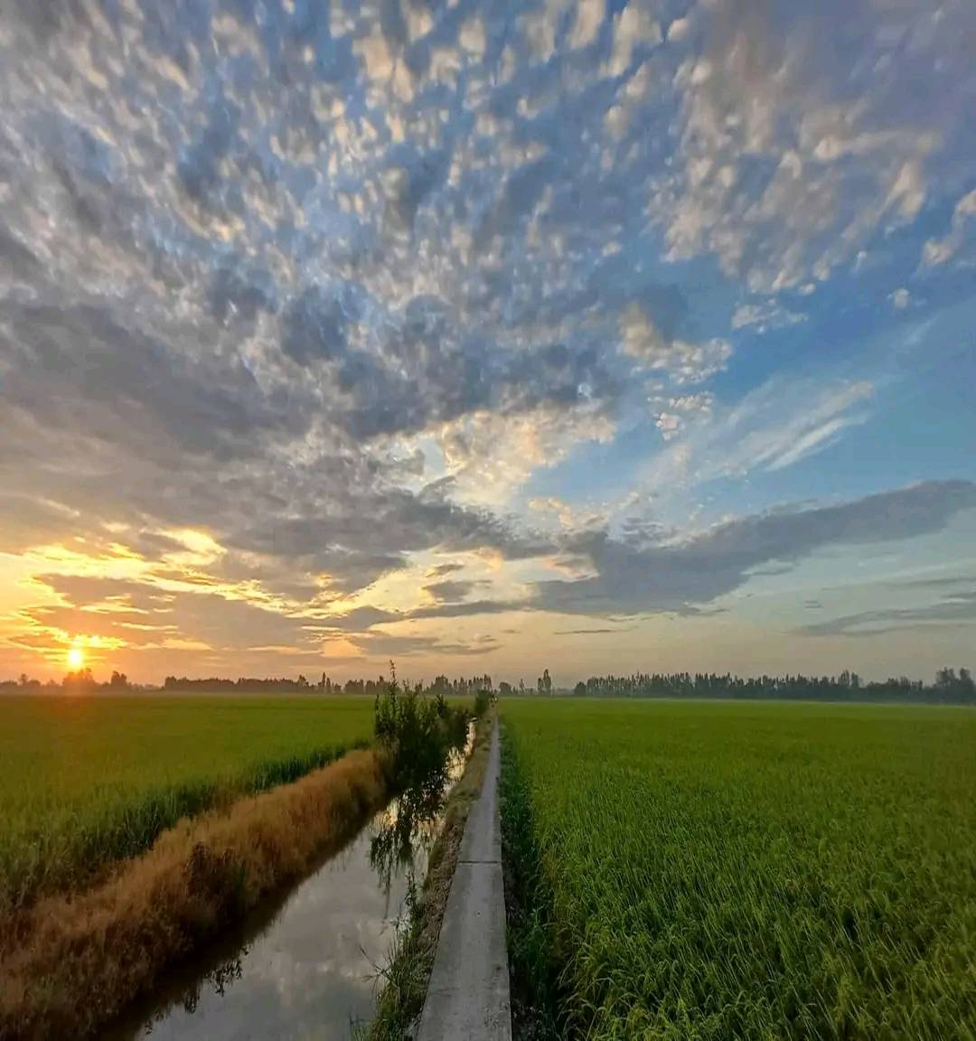Xã Tuyên Thạnh, tỉnh Tây Ninh
