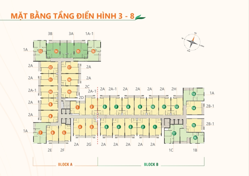 Sơ đồ mặt bằng dự án Ricca Quận 9 Thủ Đức