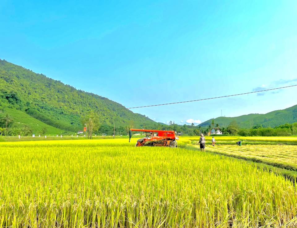 Xã Thiện Tín, Quảng Ngãi