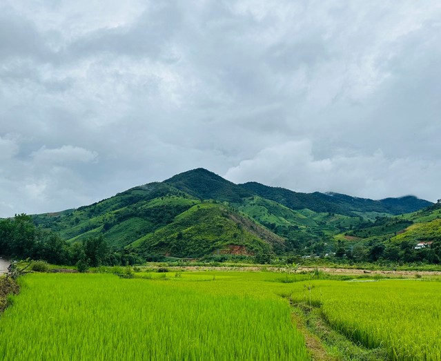 Xã Đăk Kôi, Quảng Ngãi