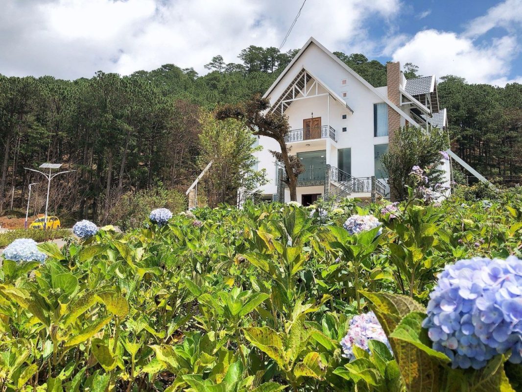Phối cảnh Langbiang Town Đà Lạt và núi Langbiang