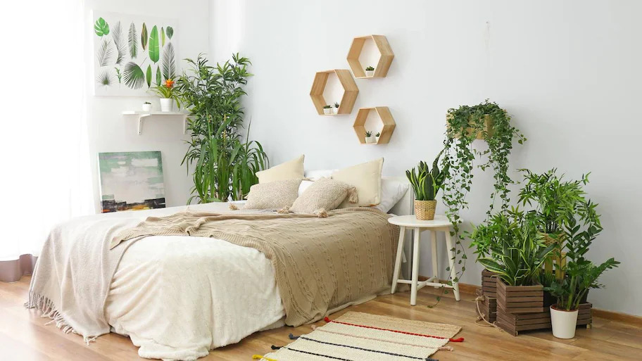 Một phòng ngủ với rất nhiều cây xnah trang trí