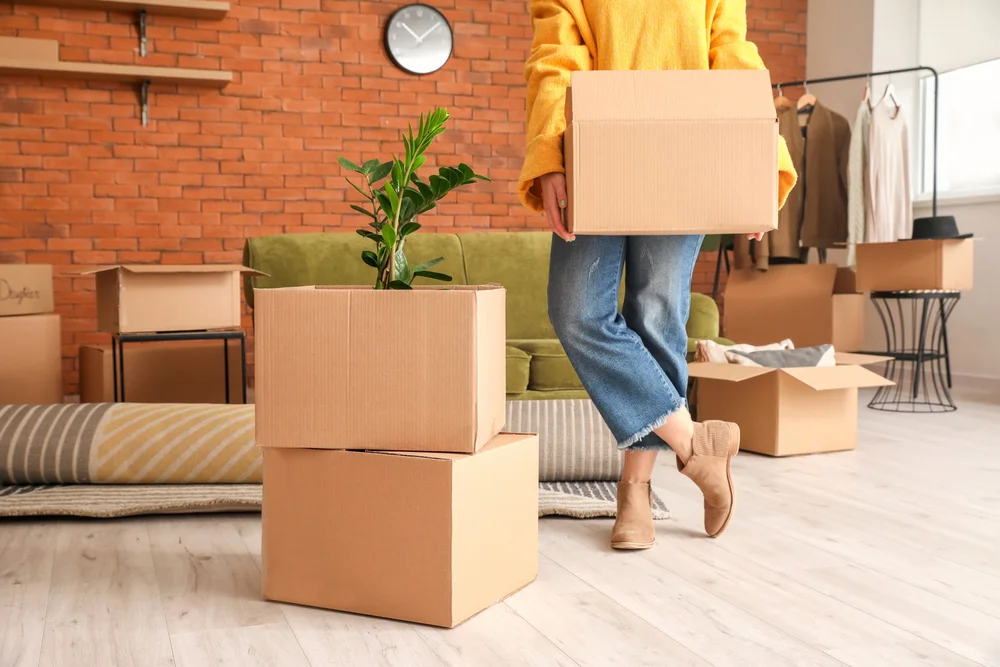 Chuyển nhà đầu năm có ảnh hưởng đến phong thủy và tài lộc không? cảnh chuyển nhà đầu năm với các thùng đồ được sắp xếp gọn gàng trong không gian sống, gợi ý cho những ai chuẩn bị dọn sang nơi ở mới.