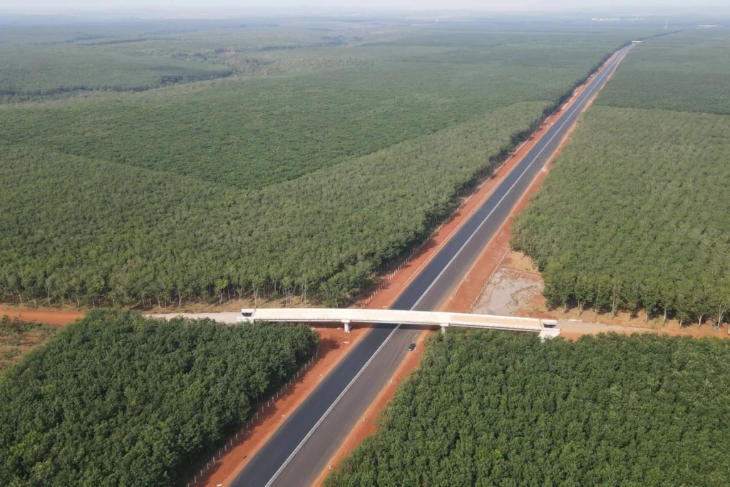 Cao tốc Phan Thiết - Dầu Giây băng qua những nông trường cao su tại Đồng Nai