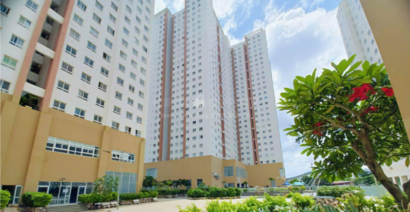Góc nhìn từ nội khu chung cư Topaz City, tập trung vào không gian cảnh quan nội khu với cây xanh và khối đế