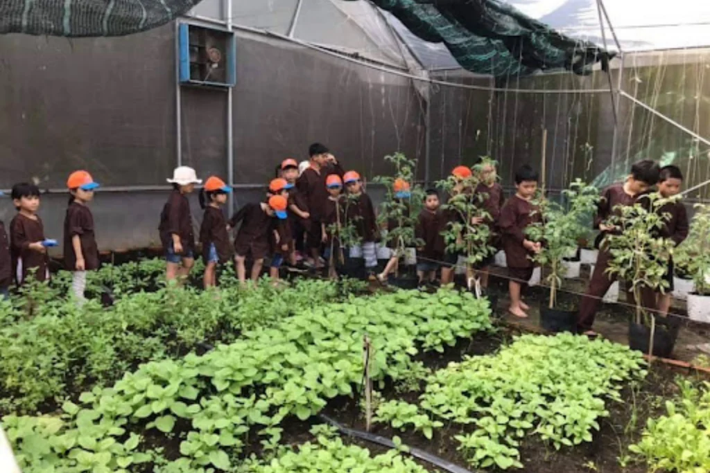 Trải nghiệm không gian dã ngoại cuối tuần tại các mô hình nông trại sinh thái