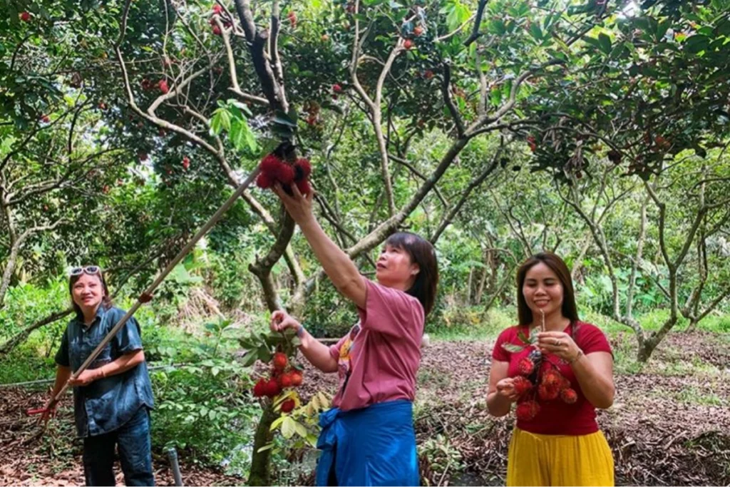 Điểm du lịch sinh thái miệt vườn
