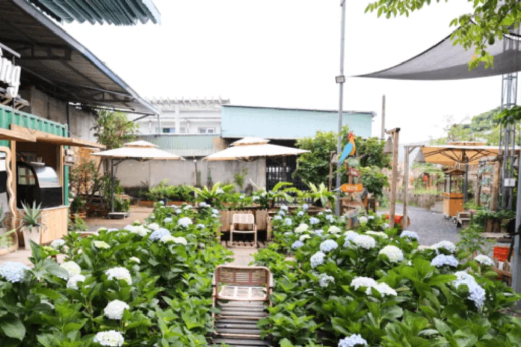 Top 10 quán cafe xã Cần Giờ view đẹp đáng thử nhất Top 10 quán cafe xã Cần Giờ view đẹp