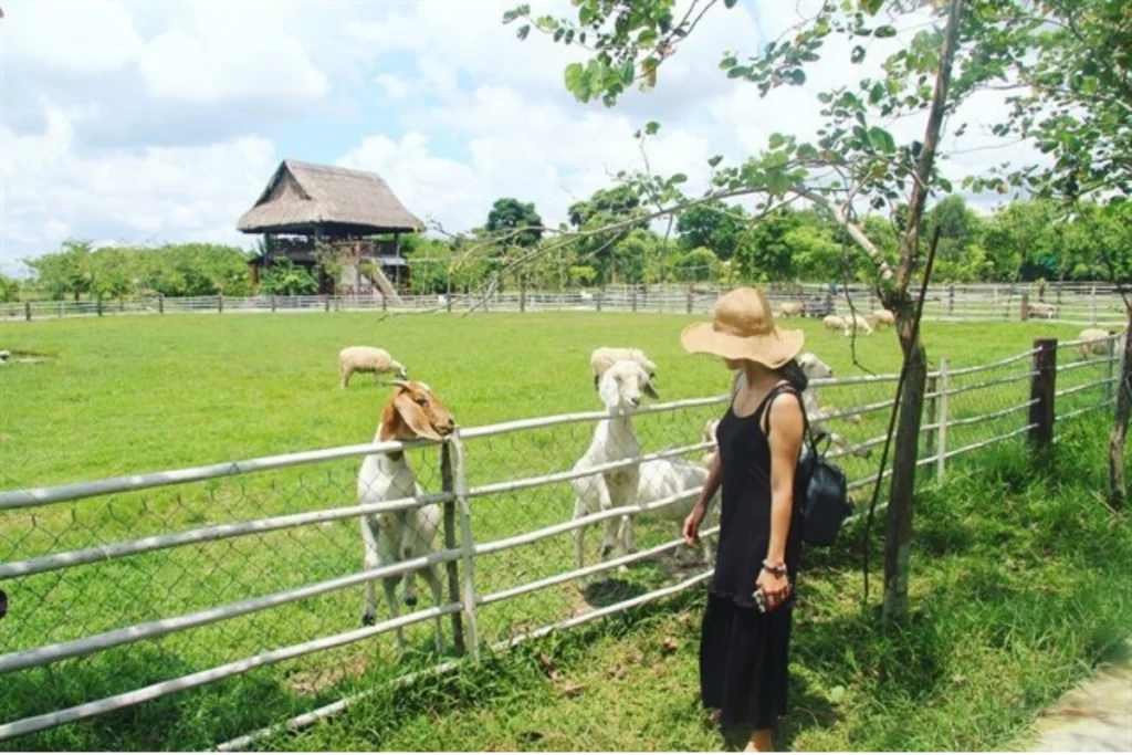Chơi gì ở xã Tân An Hội sau sáp nhập
