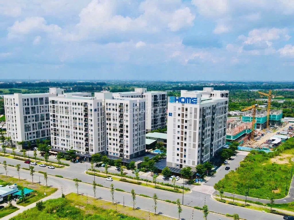 so sánh chung cư Waterpoint Long An và Terra Mia về thiết kế