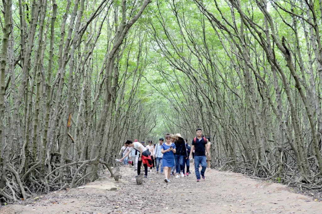 Hệ sinh thái rừng ngập mặn