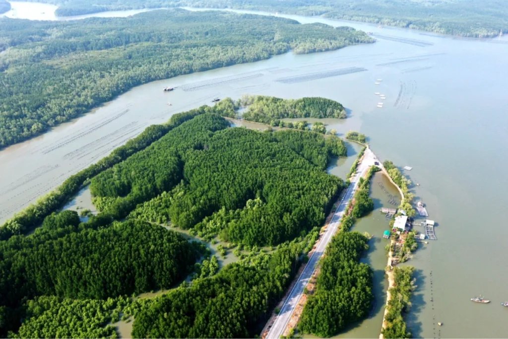 Bản đồ sinh thái đa dạng